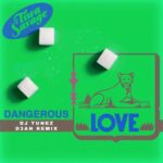 Tiwa Savage Dangerous Love DJ Tunez D3an Remix