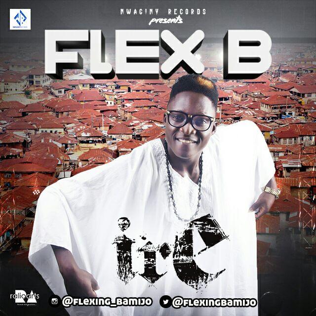 Flex B 1