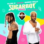 Minjin Ft Korede Bello & Dj Big N – Sugarboy Remix