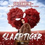 Gigi LaMayne ft DJ Tira NaakMusiq Just Bheki – SlaapTiger