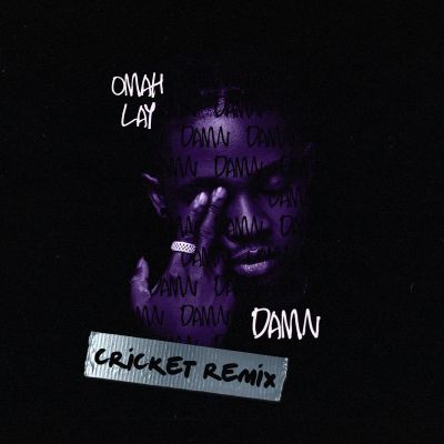 Omah Lay – Damn Cricket Remix