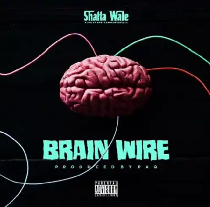 Shatta Wale – Brain Wire Freestyle