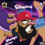 Nwayo Nwayo by Slowdog ( Instrumental )