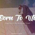 Timaya – Born To Win Instrumental