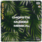 Chopstix ft Mugeez Medikal Put You On Mp3 Download