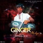 DJ IC – Ginger Mixtape