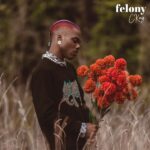 Ckay – Felony (Mp3 Download)
