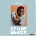 DJ Paak – Best of Stonebwoy Mix