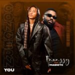 Fawazzy Concern You Ft. Magnito Mp3 Download