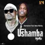 Harmonize Ushamba Remix ft. Naira Marley Mp3 Download