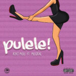 Kofi Mole ft Medikal Pulele Mp3 download