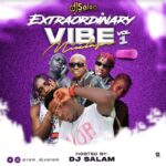 DJ Salam – Extraordinary Vibe Mix Vol 1