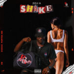 Juli A Shake Mp3 Download
