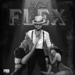 Kizz Daniel Flex Instrumental Download MP3