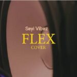 Seyi Vibez – Flex Cover