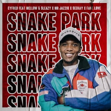 Cyfred Snake Park Ft Mr JazziQ Mellow Sleazy Seekay Fake Love