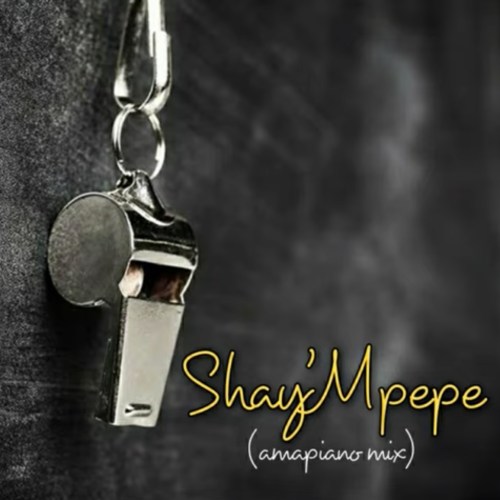 Muzzy D Pilot Shaympempe Amapiano Mix Ft. Dj Mavuthela Ribby De Dj Rhino mp3 download