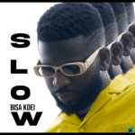 Bisa Kdei Slow mp3 download