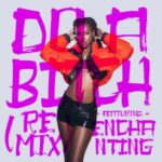 Kali Ft. Enchanting Do A Bitch Remix Mp3 Download