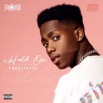 Roiii Hold On ft. Focalistic mp3 download