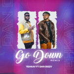 Tehkay Ft. Dandizzy Go Down Remix mp3 download