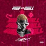DJ Biosky Vibe Chill Mix Vol.5 mp3 download