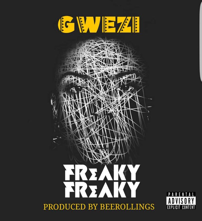 Gwezi Freaky Freaky mp3 download
