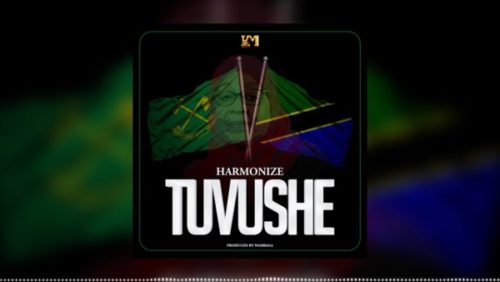 Harmonize Tuvushe mp3 download