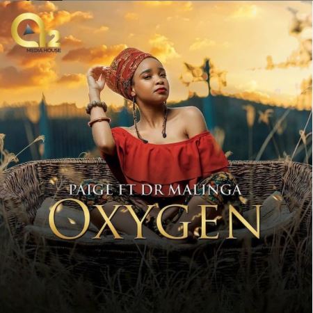 Paige Oxygen ft. Dr Malinga mp3 download