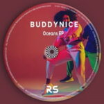 Buddynice Idlozi Lam mp3 download
