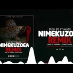 Bush Boi Nimekuzoea Remix Ft. Nandy mp3 download