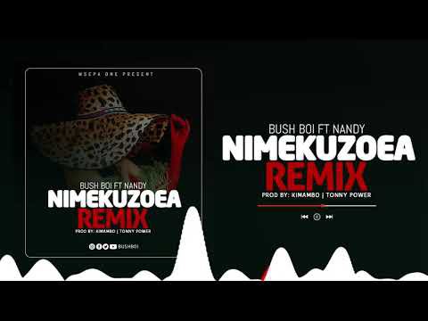 Bush Boi Nimekuzoea Remix Ft. Nandy mp3 download