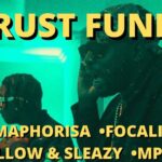 DJ Maphorisa Trust Fund ft. Focalistic Mpura Mellow Sleazy mp3 download