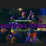 Davido ft. Chris Brown, Young Thug Shopping Spree (Lyrics) mp3 download
