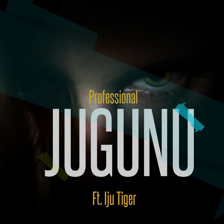 Professional Beat ft. Iju Tiger Jugunu Instrumental Beat