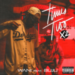 Wani Times Two (X2) ft Buju mp3 download