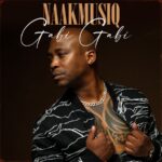 NaakMusiQ & The T Effect Gabi Gabi mp3 download
