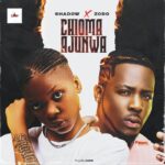 Shadow – Chioma Ajunwa ft. Zoro Mp3 Download