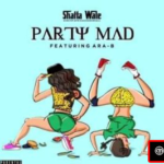 Shatta Wale – Party Mad Ft. Ara-B