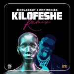 Zinoleesky Kilofeshe (Remix) Ft. Harmonize mp3 download