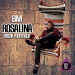 BM Rosalina (Break Your Back) mp3 download