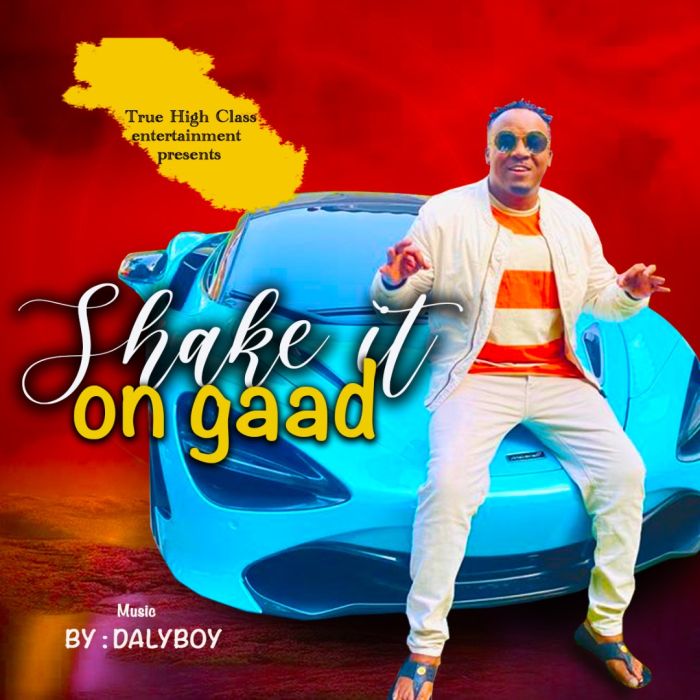 Dalyboy Shake It On Gaad mp3 download