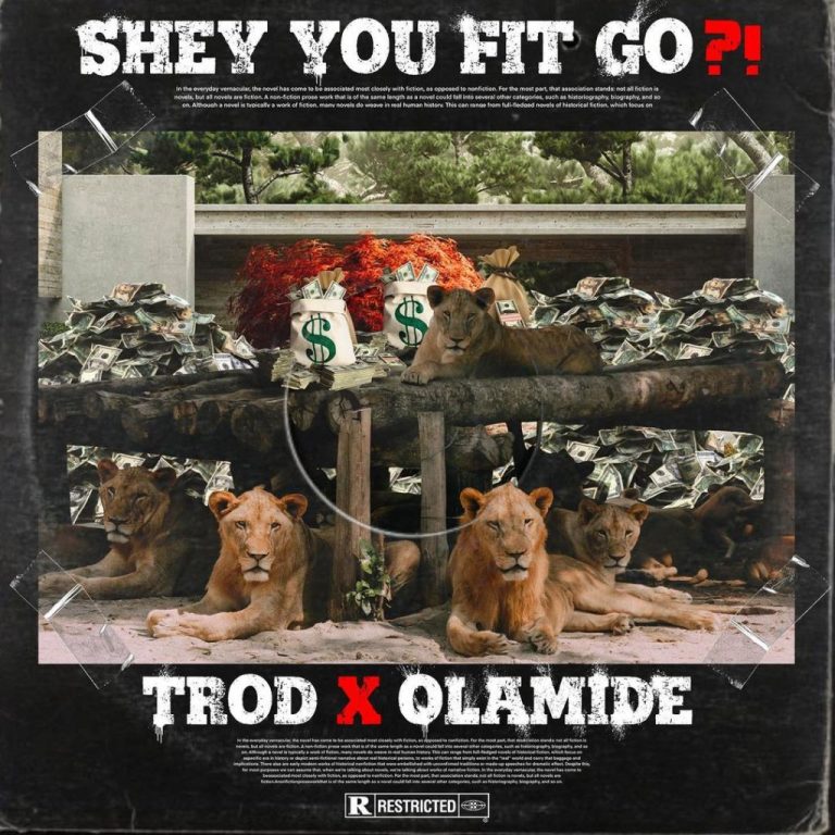 Trod ft. Olamide Shey You Fit Go Mp3 download