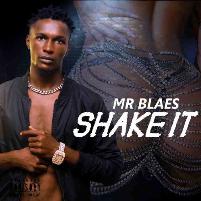Mr Blaes Shake It mp3 download