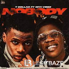 T Dollar Ft. Seyi Vibez Nobody Mp3 Download