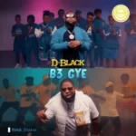 D-Black B3 Gye mp3 download