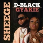 D-Black Sheege Ft Gyakie mp3 download