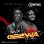 DJ PlentySongz Gbewa Mix mp3 download