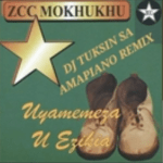 DJ Tuksin ZCC Mokhukhu Tshivhidzelwa Amapiano Remix mp3 download