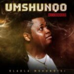 Dladla Mshunqisi Owamabomu ft. DJ Lag mp3 download